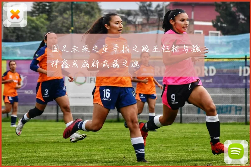 国足未来之星寻找之路王钰栋与魏祥鑫或成新武磊之选