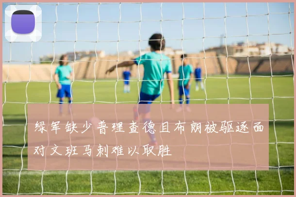 绿军缺少普理查德且布朗被驱逐面对文班马刺难以取胜